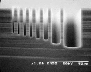 Figure 3. SEM image of the microloading effect