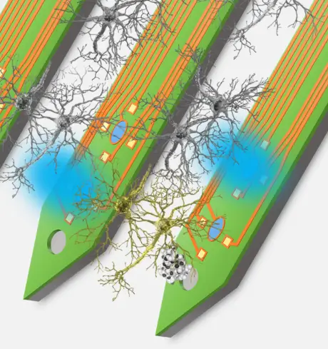 Implantable Micro LED