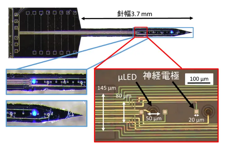 Neural Electrode Probe