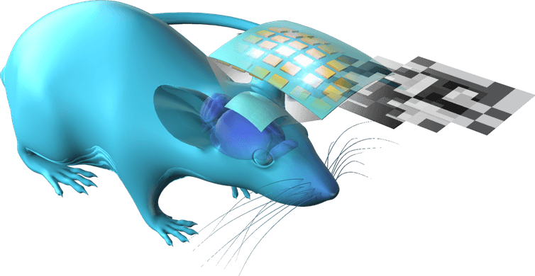 Flexible MicroLED Film