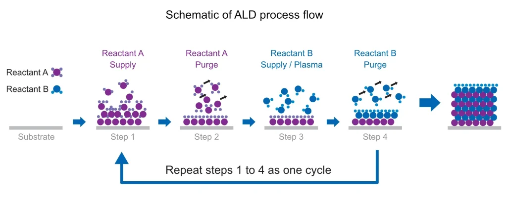 Schematic of ALD process flow