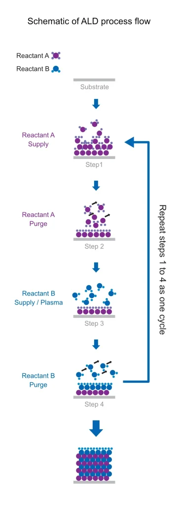 Schematic of ALD process flow